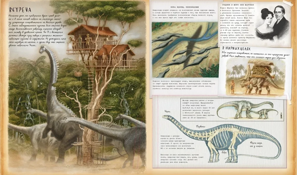 Dinosaurierkunde