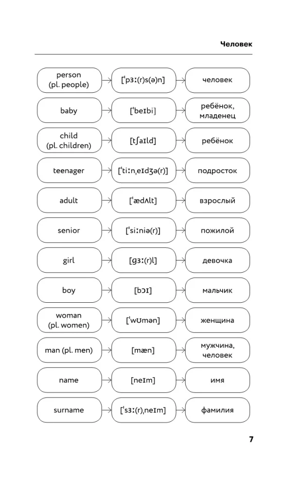 English Vocabulary Without a Tutor. All Words in Diagrams and Exercises