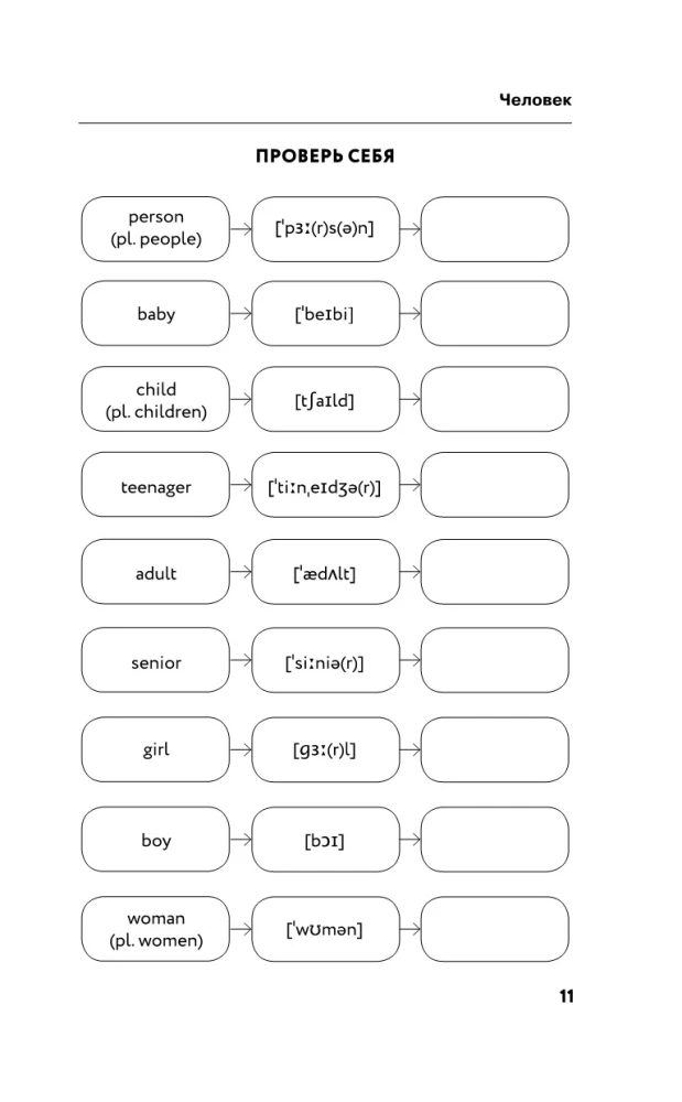 English Vocabulary Without a Tutor. All Words in Diagrams and Exercises