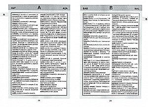 Englisch-Russisches Wörterbuch mit grammatikalischer Beilage