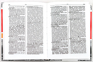 Explanatory Anglo-Russian Dictionary. Accounting and Audit