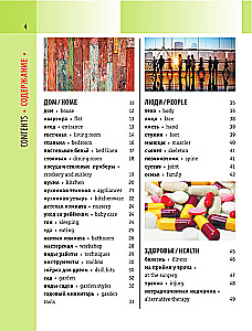 English-Russian Visual Dictionary with Transcription
