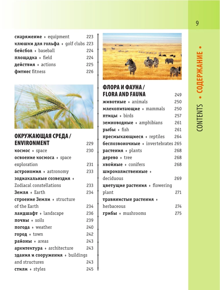 English-Russian Visual Dictionary with Transcription
