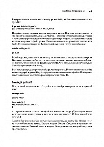 Go: idioms and design patterns