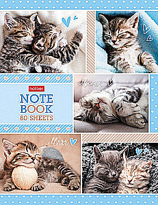 Business Notebook A5 - Fluffy Faces (Grid)