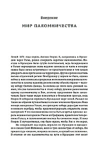 Мировые религии и культы: главные святыни. От паломничества до религиозного туризма