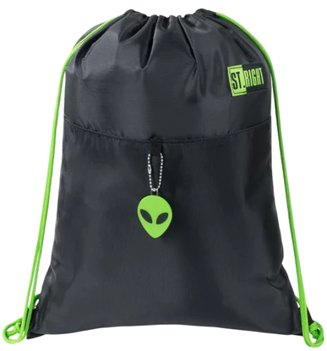 Shoe Bag - ST.RIGHT. Green Power