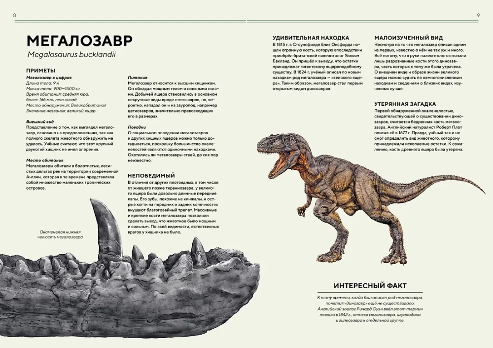 Dinosaurs in Full Size
