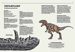 Dinosaurs in Full Size