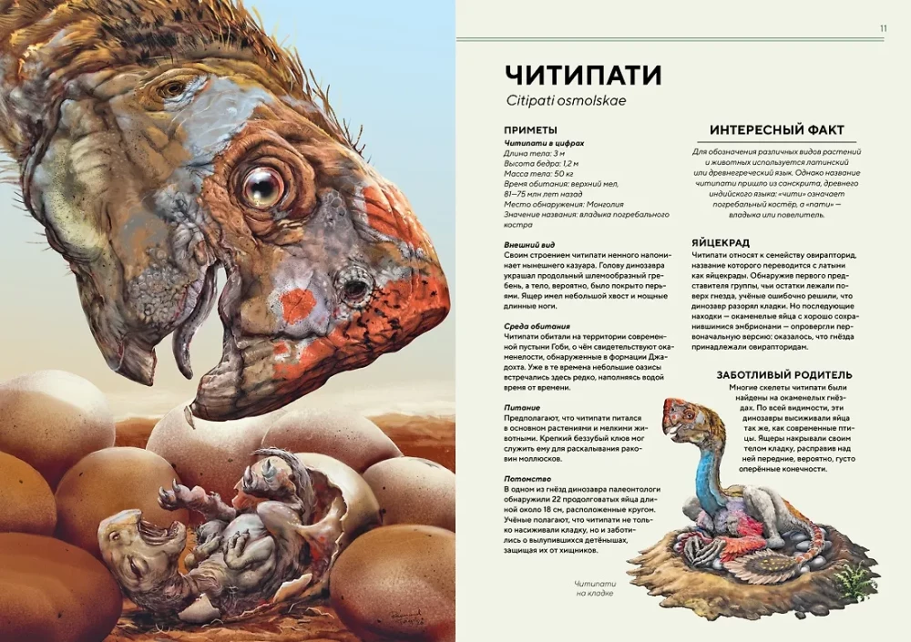 Dinosaurs in Full Size