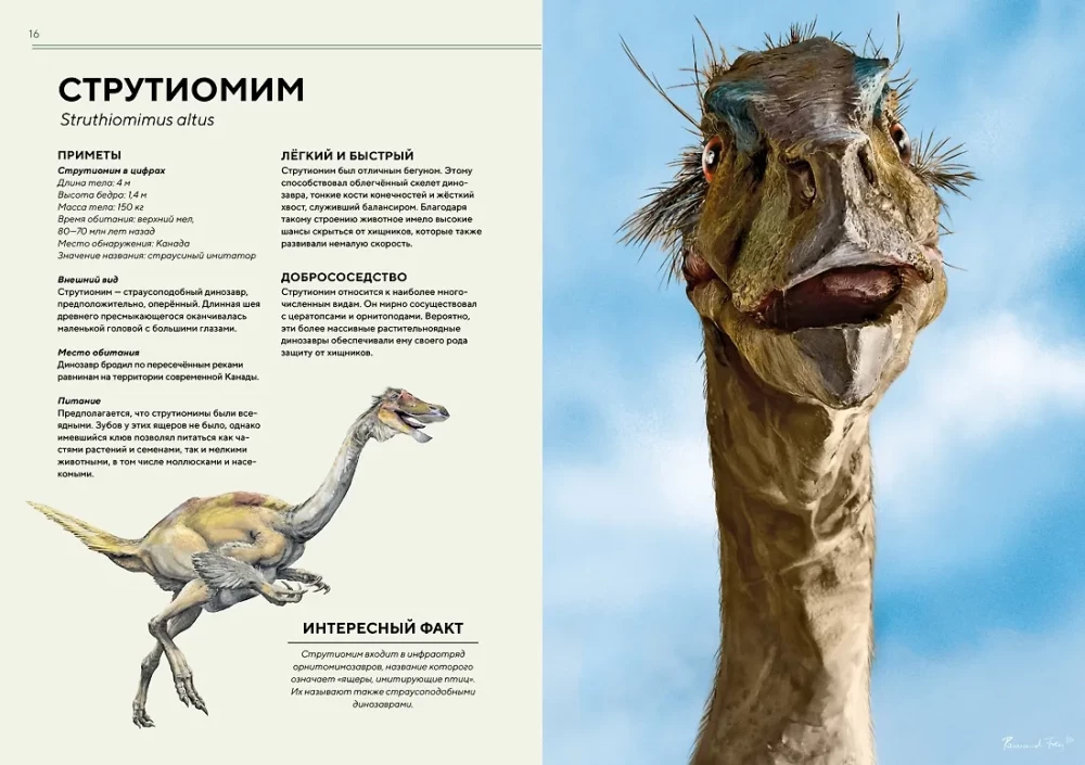 Dinosaurs in Full Size