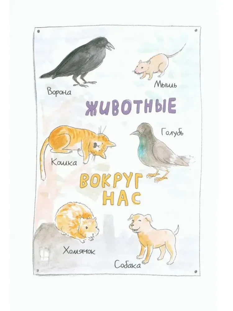 Gdzie występuje podrostikus?