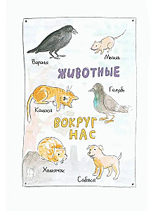 Gdzie występuje podrostikus?