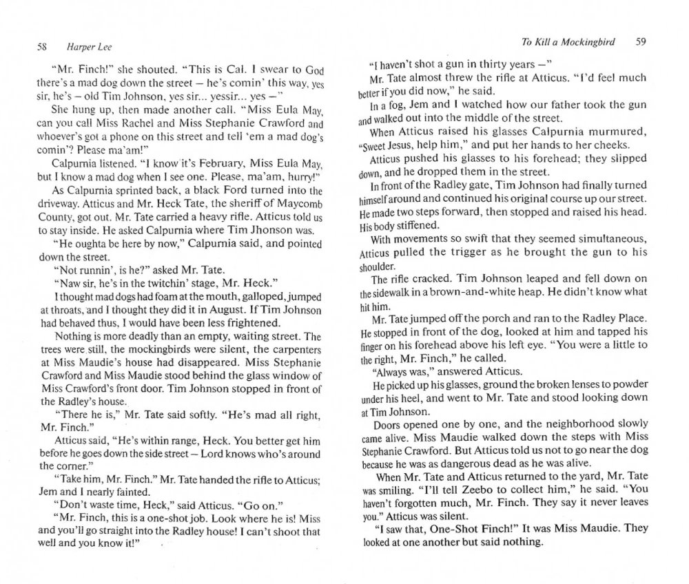 To Kill a Mockingbird = Wer die Nachtigall stört
