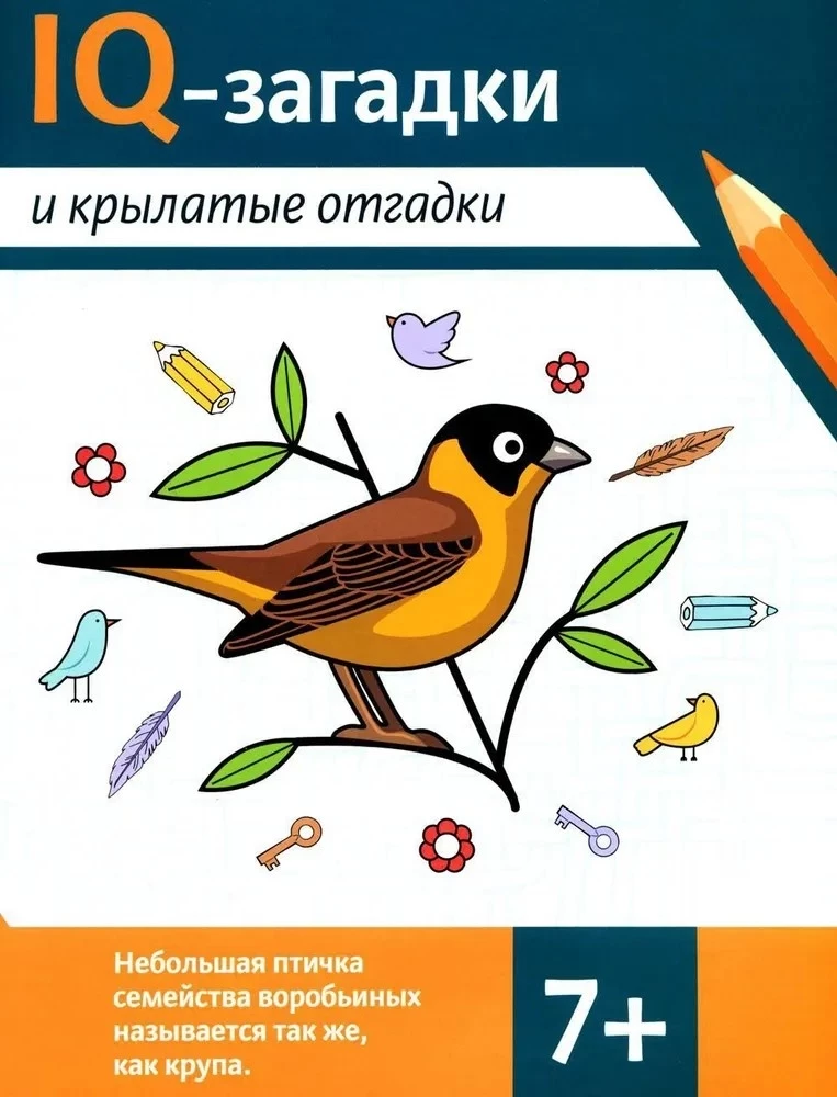 IQ-загадки и крылатые отгадки