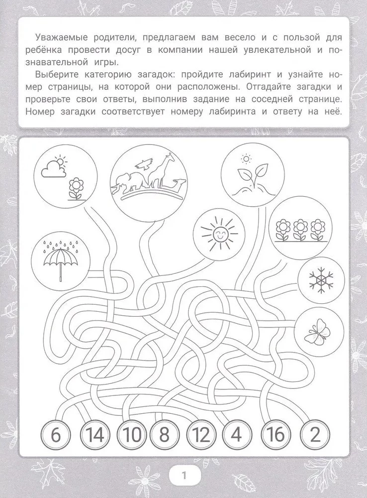 IQ Puzzles and Maze Solutions