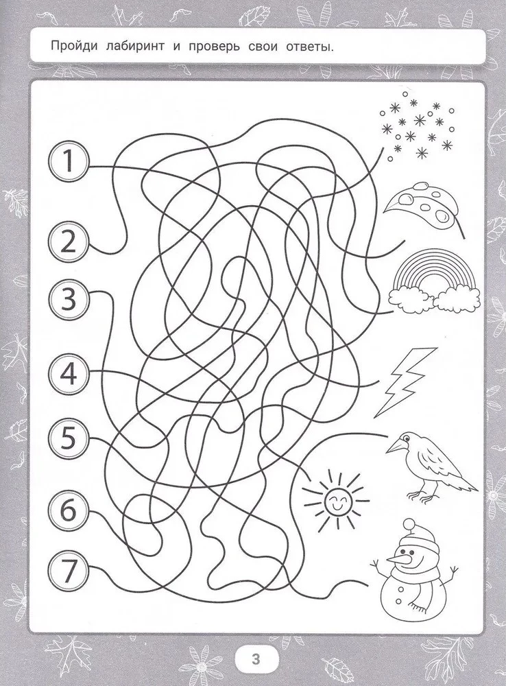 IQ Puzzles and Maze Solutions