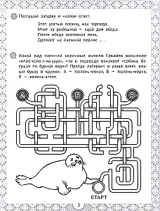 IQ-zagadki i pouczające odpowiedzi