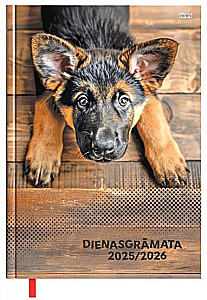 Ajakiri kuupäevadega 2025/26 (assiortii)