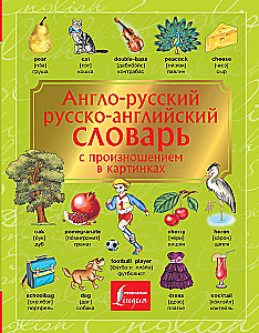 Englisch-Russisch. Russisch-Englisches Wörterbuch mit Aussprache in Bildern