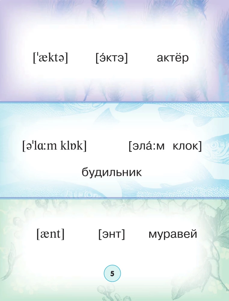 Englisch-Russisch. Russisch-Englisches Wörterbuch mit Aussprache in Bildern