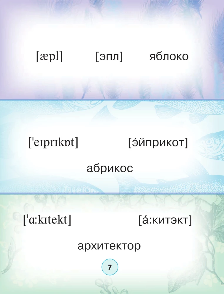 Englisch-Russisch. Russisch-Englisches Wörterbuch mit Aussprache in Bildern