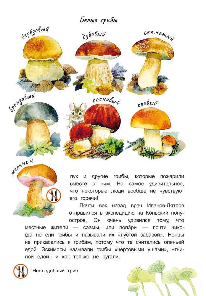 Grzybowy przywódca