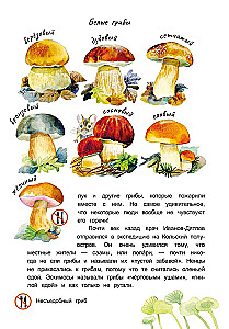 Grzybowy przywódca