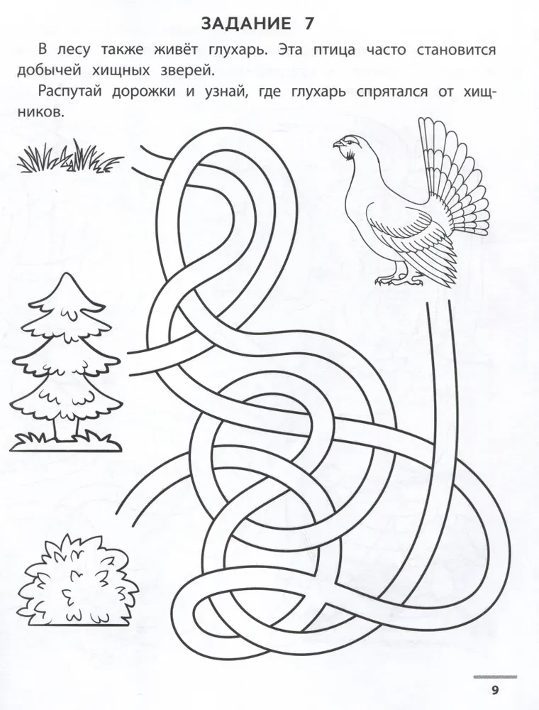 Wald-Spaziergänge. Entwicklung der visuell-motorischen Koordination. 4+