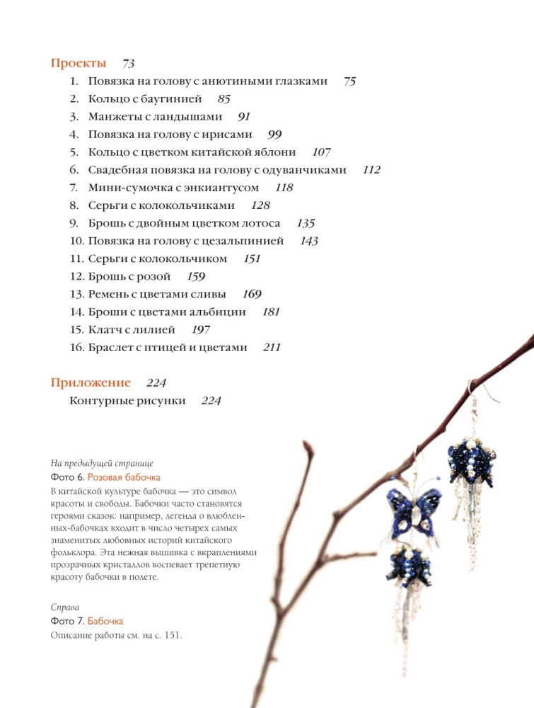 Chińska haft koralikami od A do Z. Praktyczny kurs technik, technik i wzorów