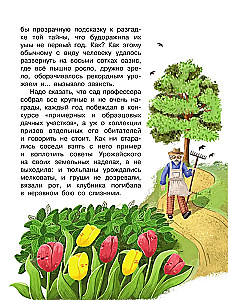 The Mystery of the Abandoned Garden