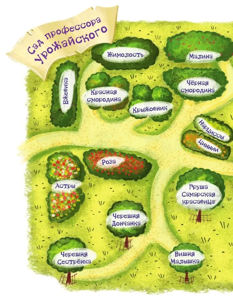 The Mystery of the Abandoned Garden