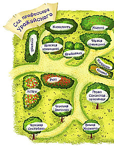 The Mystery of the Abandoned Garden