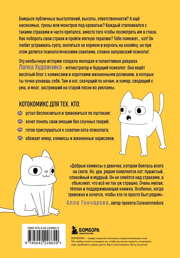 KatzenComic. Therapeutische Geschichten in Bildern über das Zähmen von Ängsten