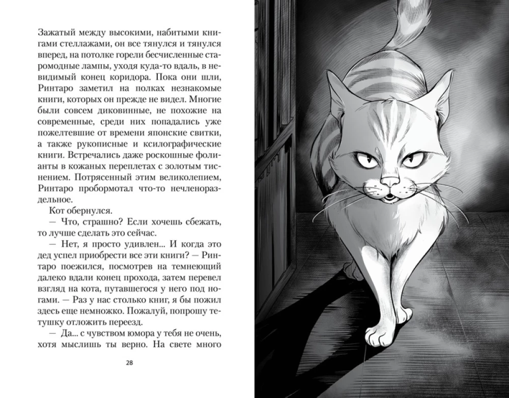 The Cat Who Loved Books — photo 6