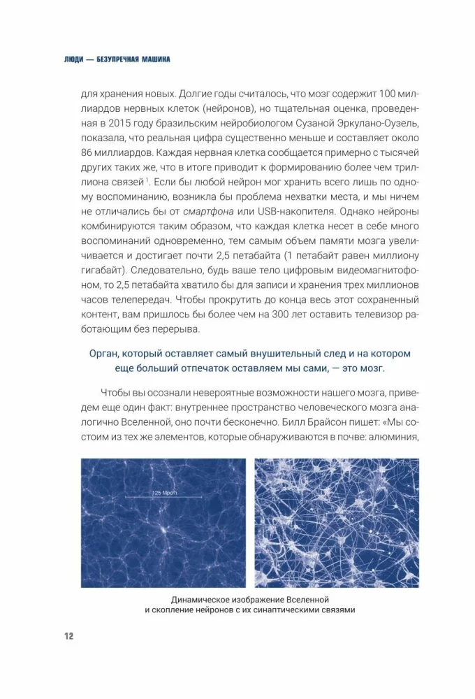 NMP. Programowanie neuromotoryczne. Jak fizjologia wpływa na psychikę