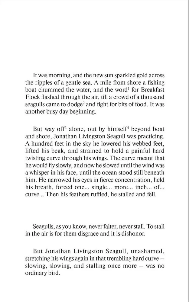 Jonathan Livingston Seagull = Чайка по имени Джон Ливингстон