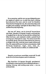 Jonathan Livingston Seagull = Чайка по имени Джон Ливингстон
