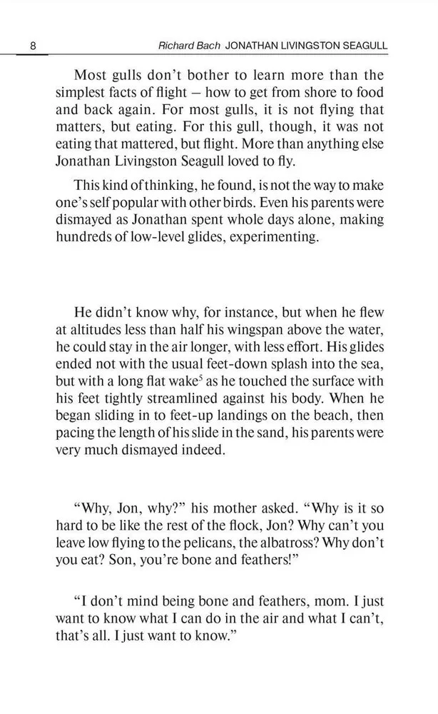 Jonathan Livingston Seagull = Чайка по имени Джон Ливингстон
