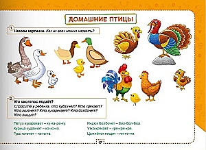 Альбом по развитию речи