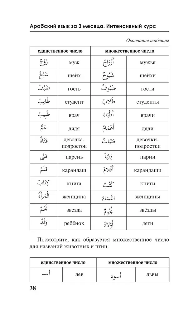 Język arabski w 3 miesiące. Intensywny kurs