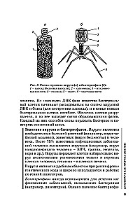 Biologia dla przyszłych studentów