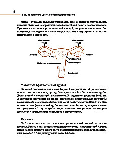 Wszystko, co chciałaś wiedzieć o wieku dojrzewania