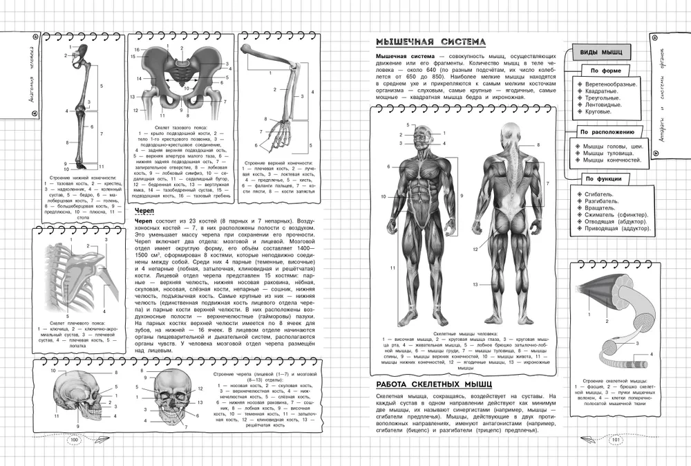 Bioloogia