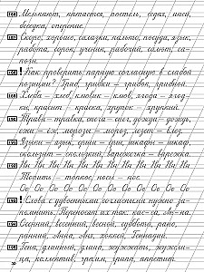 Pismo i ortografia. Ćwiczenia do nauki