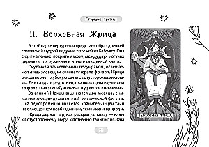 Tarot der zauberhaften Welt (78 Karten + Broschüre)
