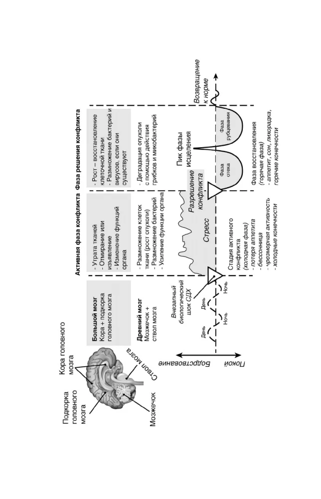 Psychosomatics in New German Medicine. Unobvious Causes of Diseases