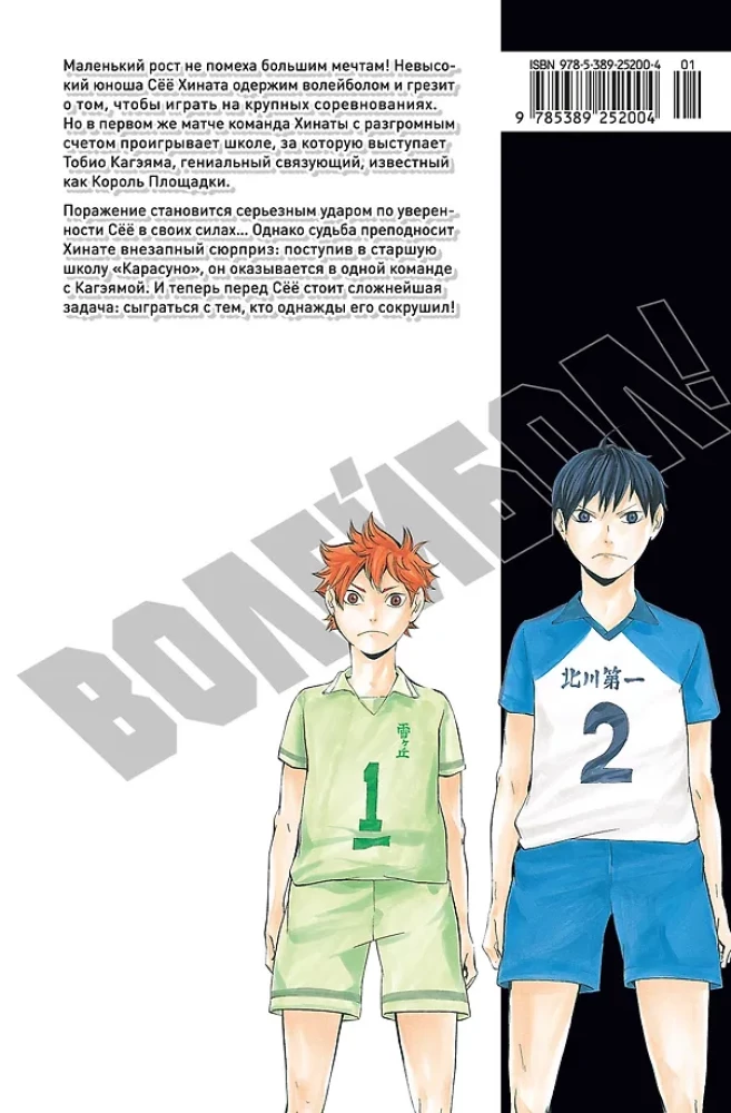 Siatkówka! Tom 1. Hinata i Kageyama. Widok z wysokości