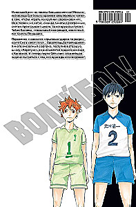 Siatkówka! Tom 1. Hinata i Kageyama. Widok z wysokości