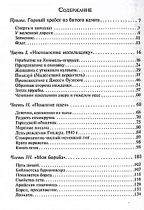 Knygų vagis